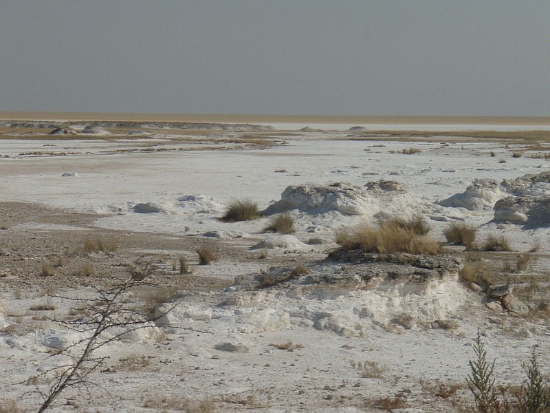 NAMIIA 2011 163.jpg